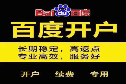某某SEM公司助力企业快速发展的成功故事